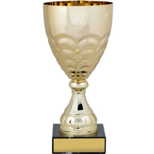 Conical Bowl Cup