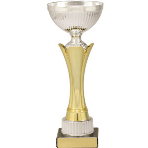 Equity Cup