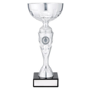 Silver Vector Cup
