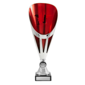 Dianna Cup Silver / Red