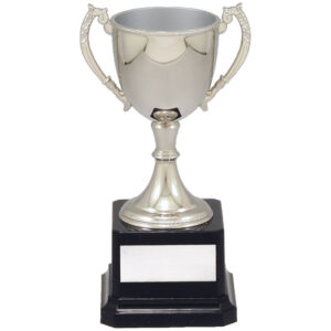 Nickel Plated Silver Cup